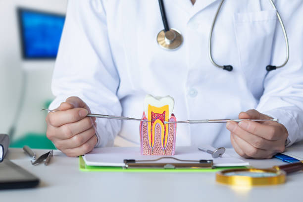Best Emergency Dental Services for Seniors in Goshen, CA